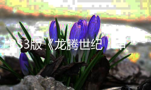 务器龙的腾世正式宣告关闭纪结束3版 服审判时代